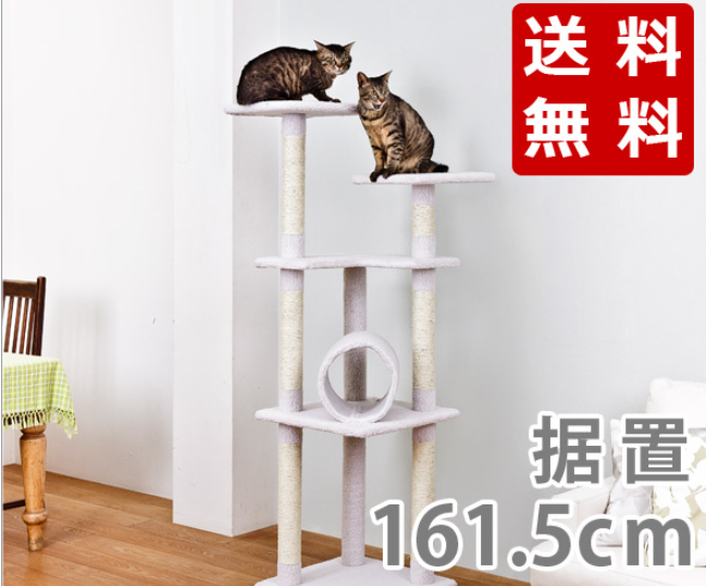 ペッツデポの猫が喧嘩をしないキャットタワー その理由とは 高評価だけのキャットタワー特集 室内飼い猫 のストレス対策 運動不足解消に